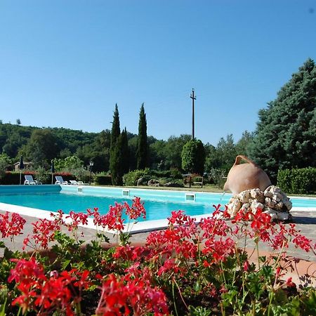 Fattoria Antognoni Villa Reggello Dış mekan fotoğraf