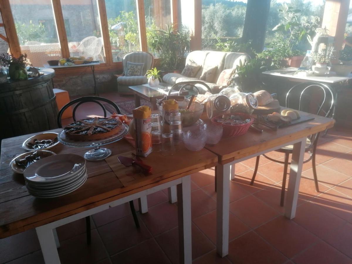 Fattoria Antognoni Villa Reggello Dış mekan fotoğraf